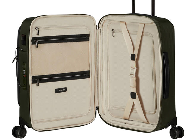 Ensiluokkainen sisus