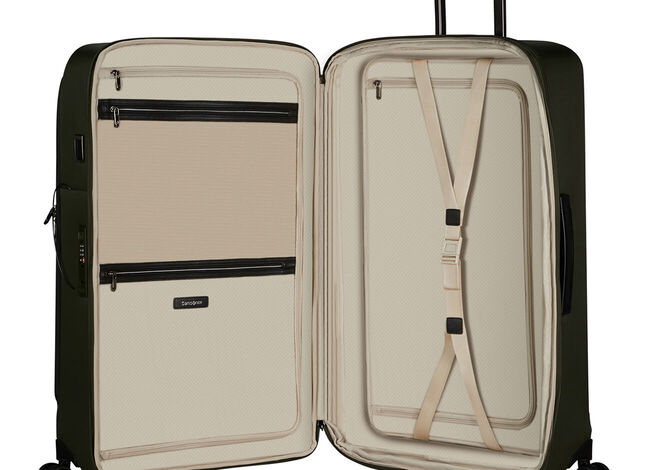 Ensiluokkainen sisus