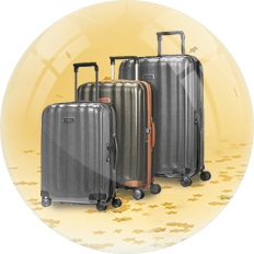christmas-luggage-sets-2018